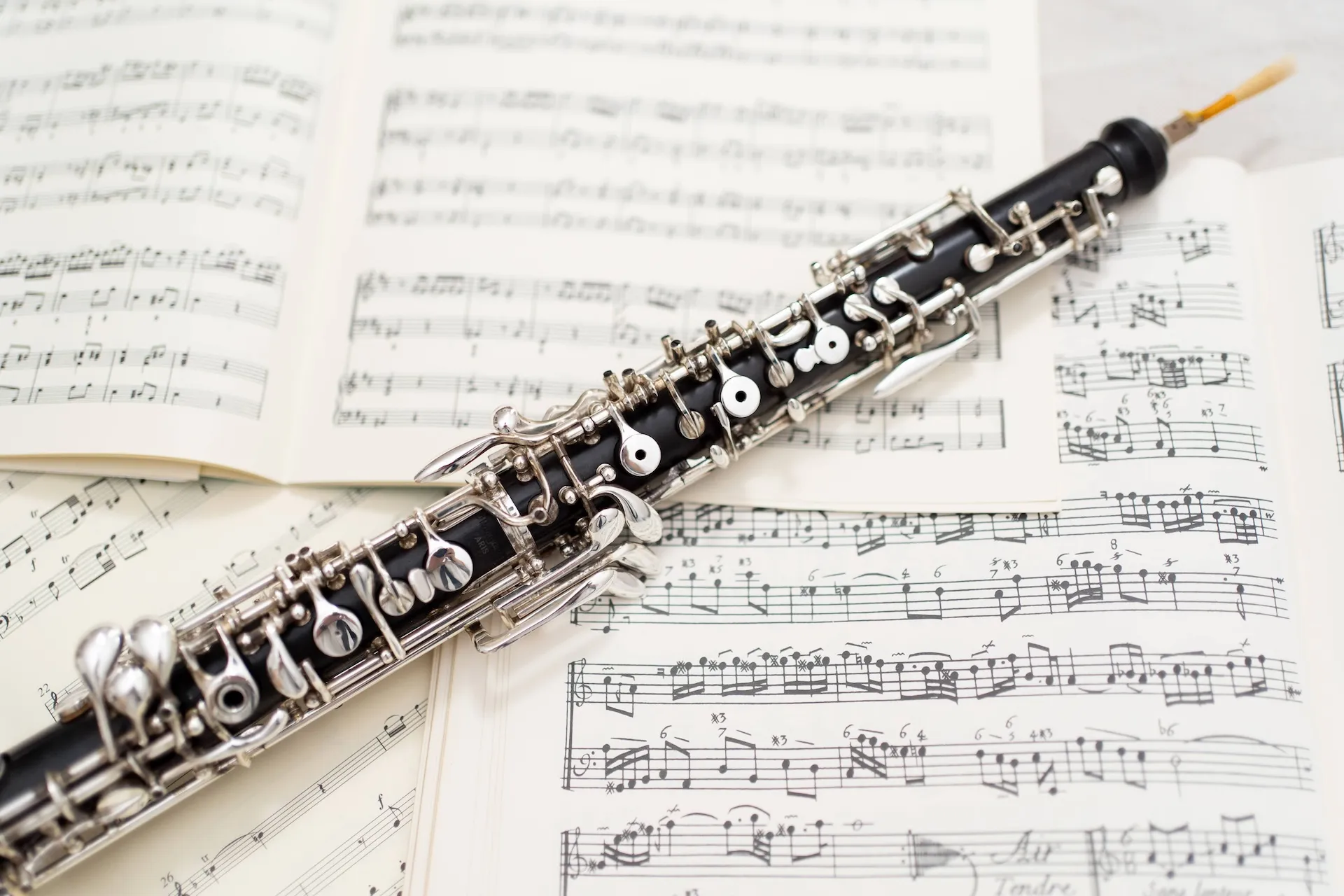 伊丹・大阪・関西 オーボエレッスン